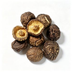 Extracto de Agaricus Blazei Murill en Polvo, Himematsutake <span class=keywords><strong>Royal</strong></span> Sun, Polisacáridos de Agaricus 30%, Beta Glucano Soluble en Agua, OEM - Product Image 5