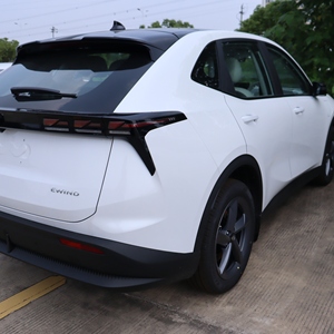 <span class=keywords><strong>Voiture</strong></span> électrique JMEV EWIND RHD avec cabine à air frais et fonction de santé par ions négatifs - Product Image 2