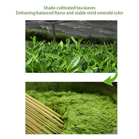 Poudre de Matcha Moulu à la Pierre Riche en Umami en Gros pour Boissons Cuisinées, Café et Gâteaux
