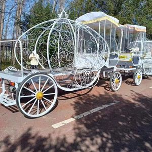 Carrozas Fúnebres de Estilo Europeo en Oferta, Carrozas Fúnebres Clásicas con Caballos, Carros de Caballos - Product Image 3