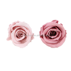 <span class=keywords><strong>Rosas</strong></span> <span class=keywords><strong>Preservadas</strong></span> <span class=keywords><strong>Mini</strong></span> al por Mayor de Fábrica de Kunming, <span class=keywords><strong>Rosas</strong></span> Eternas de Larga Duración Hechas con Flores Reales para el Día de San Valentín - Product Image 3