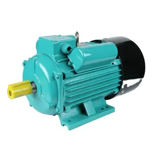 YC YL YCL Series 1hp 2hp 3hp 4hp 5hp 7.5hp 10hp Asynchronous Motor 220v Single Phase Electric Motors