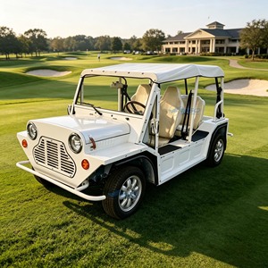 Les voitures classiques personnalisées en usine sont disponibles dans une variété de styles. Voitures classiques Jeep et voitures électriques/bus touristiques - Product Image 6
