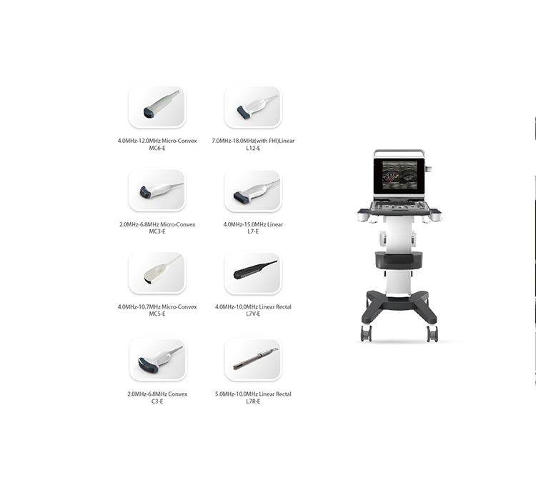 Fábrica Chison Ebit 50 Equipos de Ultrasonido Médico 3D 4D Sistema de Doppler de Color con Sonda Convexa