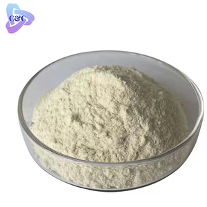 하이 퀄리티 파낙스 인삼 뿌리 분말 5%-80% 진세노사이드 Cas 90045-38-8 진세노사이드 인삼 추출물 분말 - Product Image 3