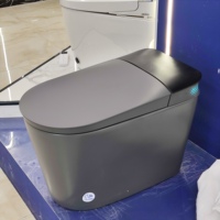 Nouveau modèle 2026 : WC intelligent gris-noir givré, avec siège chauffant et télécommande, idéal pour les salles de bain de villas