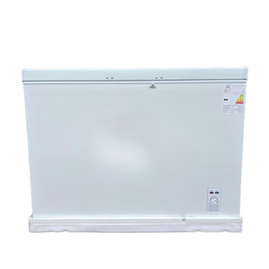 Congélateur horizontal commercial 300L, température unique, congélation profonde, dégivrage manuel, électrique, Guangdong - Product Image 5