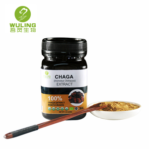 OEM/ODM травяной 7 гриб экстракт порошка 100 г, maitake Львиная Грива chaga shiitake cordyceps <span class=keywords><strong>ganoderma</strong></span> экстракт 30% Полисахариды - Product Image 2