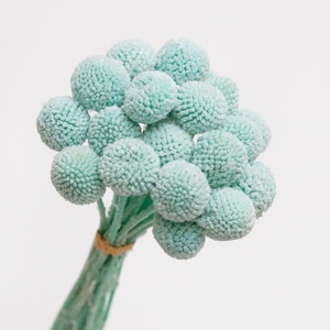 Fleurs de Craspedia séchées en gros, Billy Buttons pour bouquets de fleurs séchées, décoration de mariage, artisanat DIY - Product Image 1