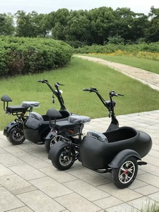 Nuevo Motor de Buje para Motocicleta, Asientos de Gran Tamaño para Ciclomotor, Motocicleta de Tres Ruedas con Sidecar, Scooter para Adultos - Product Image 4