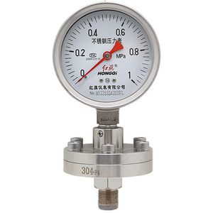 Manomètre à diaphragme Hongqi 100 mm en acier inoxydable YTP-100BF ML résistant à la corrosion et aux hautes températures - Product Image 2
