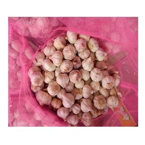 <span class=keywords><strong>2025</strong></span> tươi tỏi trắng bình thường 5.5cm-6.0cm tỏi trắng bình thường với Giá thị trường để bán - Product Image 4