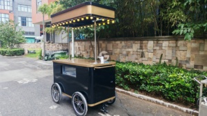 Etodevice Carro de Jugos Personalizado en Venta, Triciclo Eléctrico para Alimentos, Carritos de Helado y Gelato, Camión de Comida de Acero Inoxidable Ape Piaggio USA - Product Image 3