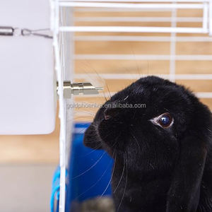 QA 500ml 1L bottiglia di plastica automatica di coniglio acqua in acciaio inox roditori capezzolo bevitore per gabbia - Product Image 6