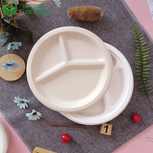 Disposable 9" Plate Bio-Based Made from Sugarcane Bagasse