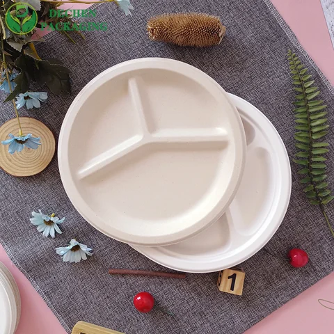 Disposable 9" Plate Bio-Based Made from Sugarcane Bagasse
