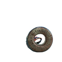 Núcleo toroidal de alta calidad 50W-5000W Entrada 220V Salida 12V 13V 14V Transformador toroidal Puerta de garaje automática