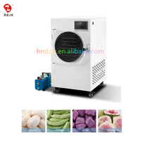 Dzjx Lage Temperatuur Drogen Dehydratie 1Kg 4Kg-6Kg Kleine Mini Home Vacuüm Vriesdroger Voor Groenten En Fruit Producten