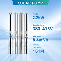 Pompe submersible 4 "Borewell pour l'agriculture 380V triphasée 2.2kW énergie solaire moteur pompe de puits d'eau pour l'agriculture africaine