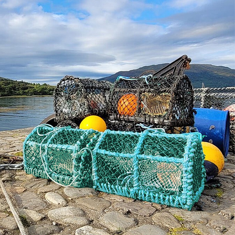 Cheap Shrimp Nets Durable, Foldable, and Efficient