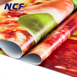 NCF Banner de lona de PVC de tamanhos diferentes Flex/Folha de Banner Flex Pan/Folha de Banner de PVC Flex