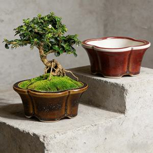 Purple Clay Ceramic Flower Pots Tabletop Small Pots Succulent <b>Personalized</b> Mini Fuchsia Pots <b>Sweet</b> Flag Bonsai Pots Flowers Vase - Product Image 5