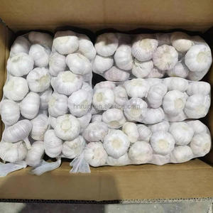 Chine <span class=keywords><strong>Acheter</strong></span> de l'ail <span class=keywords><strong>frais</strong></span> de haute qualité 10kg 20kg en gros - Product Image 4