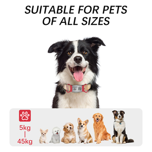 2024 nhà máy bán buôn Chất lượng cao Silicone kim loại thép không gỉ giá rẻ bền mã <span class=keywords><strong>QR</strong></span> Pet Cat <span class=keywords><strong>Dog</strong></span> ID <span class=keywords><strong>tag</strong></span> - Product Image 5