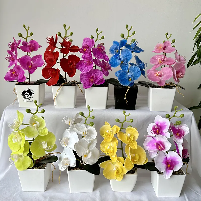 mini bonsai 5 flower heads real touch Orchid flower Bonsai Phalaenopsis Orchid plant Set Real Touch flower