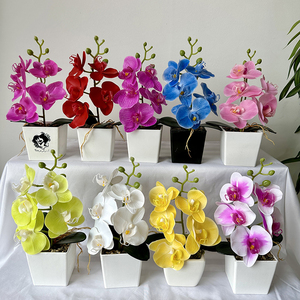 Mini <span class=keywords><strong>Bonsai</strong></span> 5 Kuntum Anggrek Sentuhan Asli <span class=keywords><strong>Bonsai</strong></span> Anggrek <span class=keywords><strong>Phalaenopsis</strong></span> Set Tanaman Anggrek Sentuhan Asli - Product Image 6
