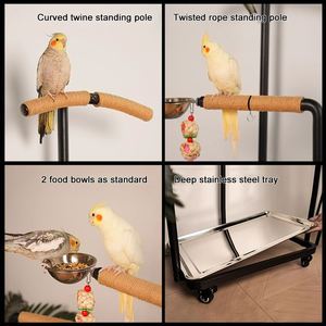 Paslanmaz çelik kuş kafesi papağan kuş <span class=keywords><strong>stand</strong></span>ı çerçeve kuş levrek <span class=keywords><strong>stand</strong></span>ı ile tekerlekler - Product Image 5