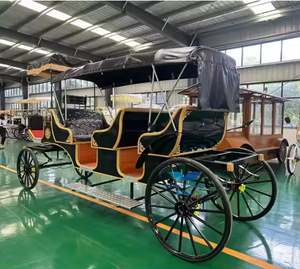 Nuevo carruaje eléctrico tirado por caballos con 4 ruedas para hacer turismo - Product Image 3