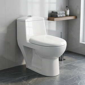 Salle de bain Articles sanitaires occidentaux Water Closet - Western WC Toilet Bowl Pedestal Basin Washdown One-Piece, Nigeria, Twyford, Ghana - Product Image 1