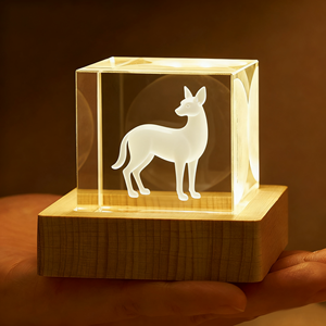 Hbl lưu niệm động vật ánh sáng ban đêm pha lê Cubes tùy chỉnh Laser khắc 3D Pha Lê Cube chặn giấy với LED gỗ cơ sở - Product Image 5