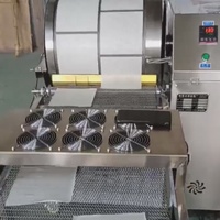 Machine à fabriquer des feuilles de pâte à samosas entièrement automatique en acier inoxydable, machine à faire des enveloppes de rouleaux de printemps