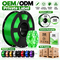Filamen Printer 3D PETG Transparan Hijau Grosir 1KG Spool OEM Label Pribadi dari Produsen untuk Pesanan Massal