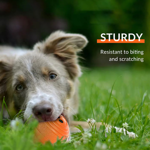 Giocattolo automatico di <span class=keywords><strong>Rolling</strong></span> Cat Ball sostituibile Jumping Ball giocattolo interattivo per cani auto in movimento per animali da compagnia giocattolo per gioco al coperto - Product Image 4