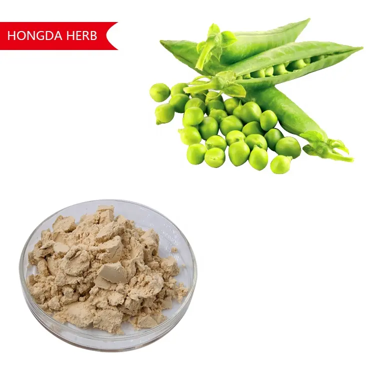 HONGDA Organico Proteina Vegeterian Carne Pisello Concentrato di Proteine In Polvere