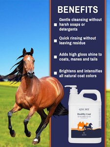 Shampoo per cavalli con cura e pulizia profonda e frizzante, sicuro per raffreddare la pelle sensibile e rinfrescare il <span class=keywords><strong>lavaggio</strong></span> dei cavalli - Product Image 5