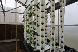 Skyplant 3 mois blanc Type vertical système de plantation hydroponique fraise PVC système de culture hydroponique composant de pompe à noyau - Product Image 4