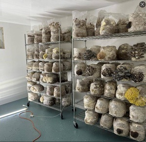 Estante De Seta modular de 6 niveles con alambre de acero extraíble, sistema de cultivo, estante móvil hidropónico - Product Image 2