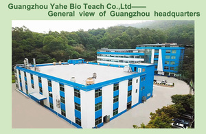 Fruit Flower Flora Hotel Aceites de aroma para el hogar Oficina Difusor Fuerte Venta a granel en kg Precio de fábrica Miles de aceites de fragancia - Product Image 2