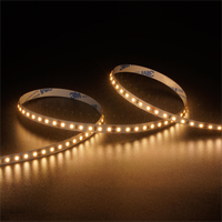 Éclairage de décoration intérieure, bande lumineuse LED DC12V/24V, CCT modulable, 120 LED/m, 8 mm, flexible, à intensité variable