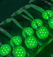 Lumière LED DMX RGB RGBW à changement de couleur IP65 40mm 50mm, lumière de point pixel, micro-lumière de façade, éclairage de Noël et de fêtes, 1.44W 24V