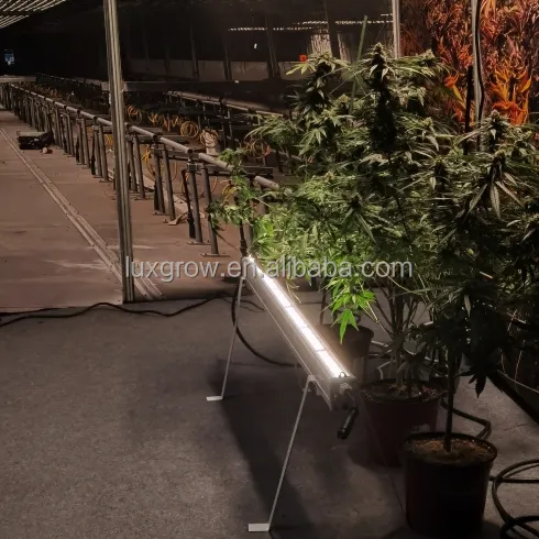 Luxgrow longitud personalizada 4/8 pies de largo cadena de margaritas conectar Triproof impermeable corison prueba debajo del dosel LED crece la luz para la floración