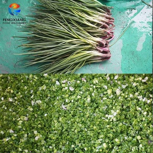 เครื่องตัดหั่นผักอเนกประสงค์แบบเปลี่ยนสายพานลำเลียงได้ง่าย สำหรับมะเขือเทศ มะระ บวบ ผักชีฝรั่ง มะเขือยาว แตงกวา - Product Image 6