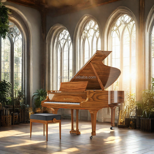 <span class=keywords><strong>Piano</strong></span> à queue acoustique brun pour l'école - Product Image 3