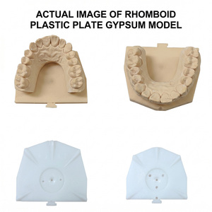 Base para Modelos Dentales para la Fabricación de Prótesis y la Creación de Moldes, Moldeada por Inyección, Polímero Duradero, Fabricación Médica/Dental OEM - Product Image 5