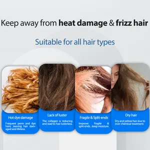 Shampooing transparent OEM ODM Shampooing et revitalisant en vrac concentrés de marque privée pour <span class=keywords><strong>hôtel</strong></span> ou salon Shampooing en vrac à l'huile d'argan en fûts - Product Image 4