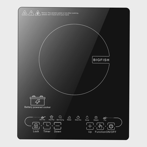 BIGFISH OEM/ODM Einzel-Hotpot-Kochgerät Wettbewerbsfähiger Preis DC24V 48V Induktionskochfeld Kommerzielle Kochausrüstung - Product Image 6
